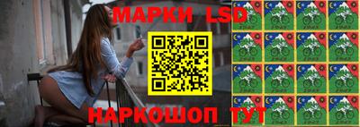 Альфа ПВП Новодвинск