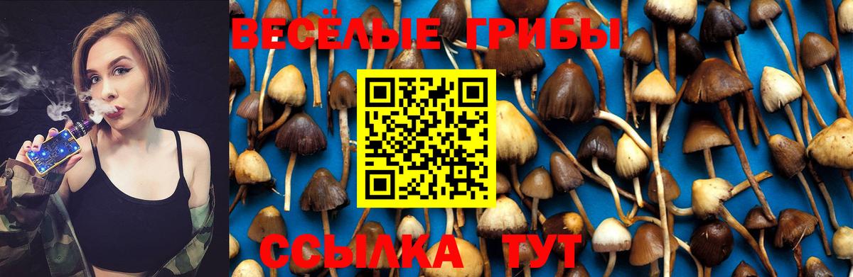 Галлюциногенные грибы Psilocybe  Галлюциногенные грибы мухоморы  Вход с VPN  Шадринск 
