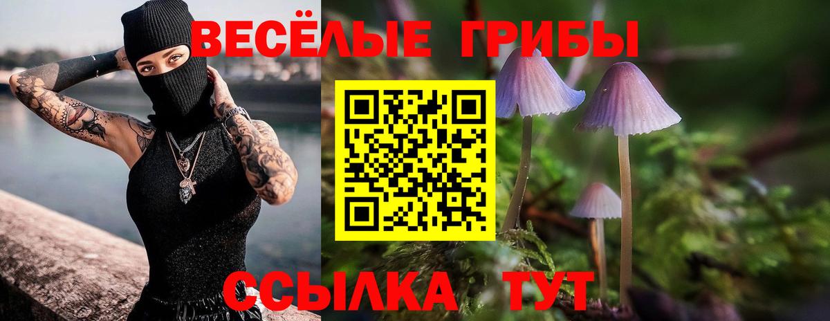 Галлюциногенные грибы GOLDEN TEACHER Шадринск